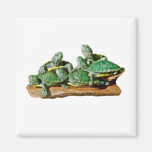 Turtle Picture Magnet