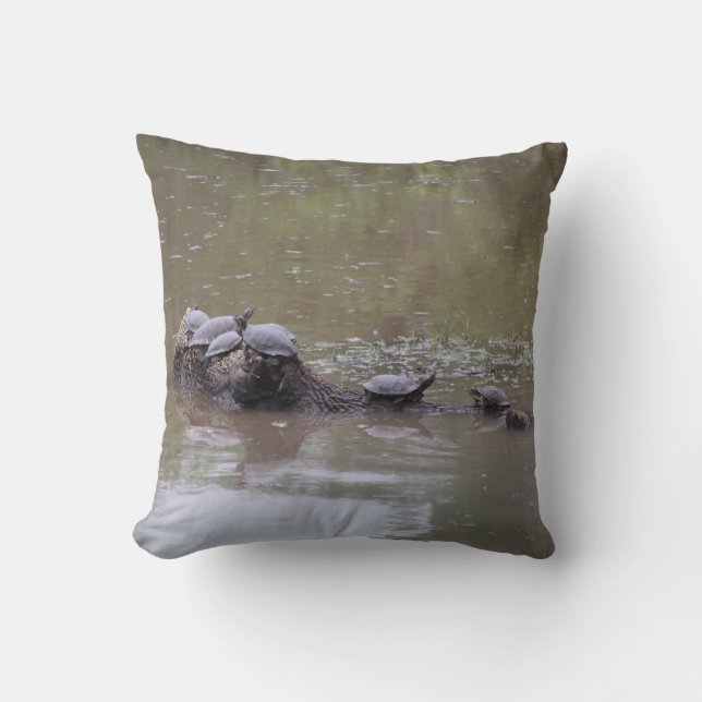 Turtle Pillows (Front)