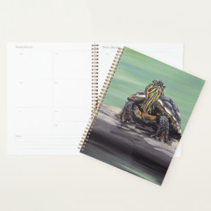 Turtle Planner