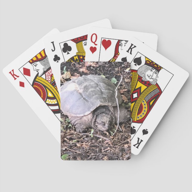 Turtle Playing Cards (Back)