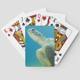 Turtle Playing Cards