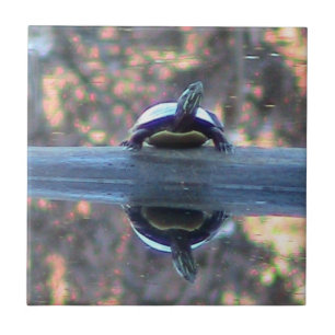 Turtle Reflected Decorative Tile