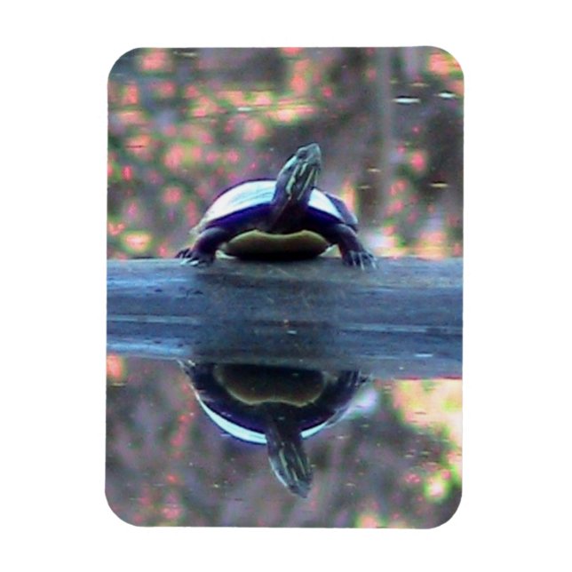 Turtle reflection magnet ( flexible) (Vertical)