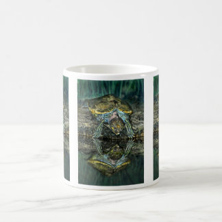 Turtle Reflection Mug