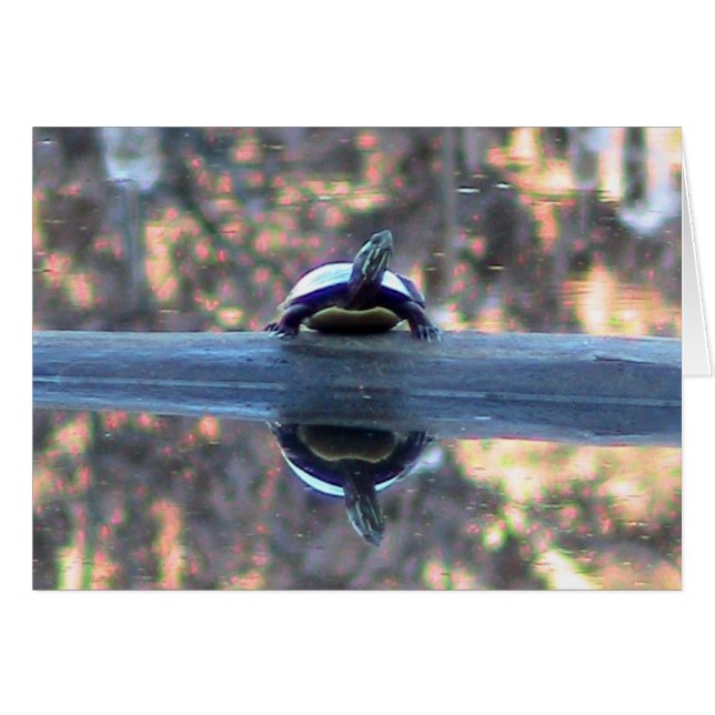 Turtle Reflections Card (Front Horizontal)