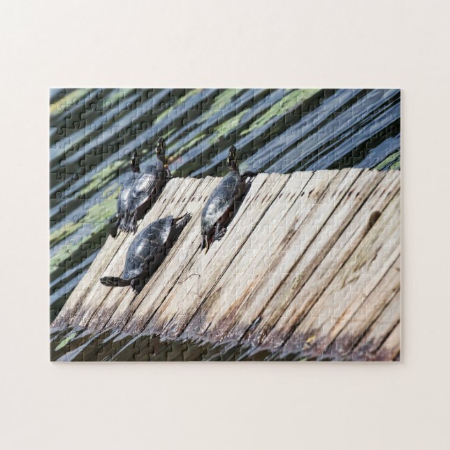 Turtle Rest Jigsaw Puzzle (Horizontal)