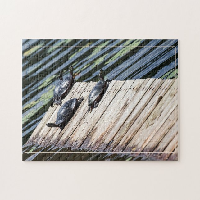 Turtle Rest Stop Jigsaw Puzzle (Horizontal)