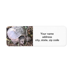 Turtle Return Address Label