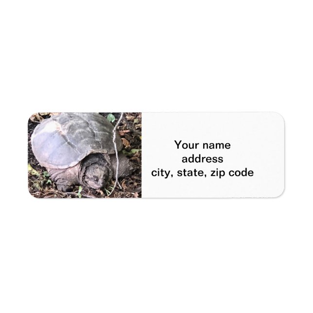 Turtle Return Address Label (Front)