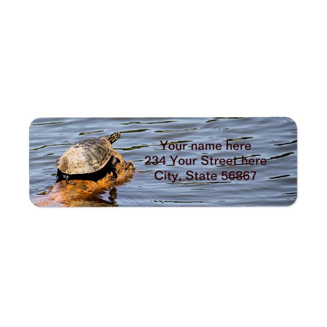 Turtle Return Address Labels (Front)