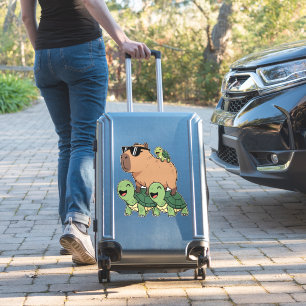 Turtle Ride Capybara, Funny Capybara