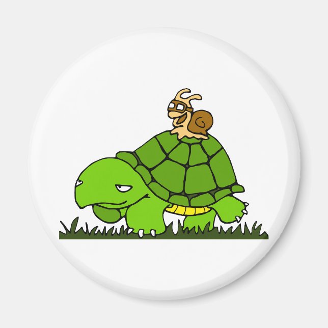 Turtle ride magnet (Front)