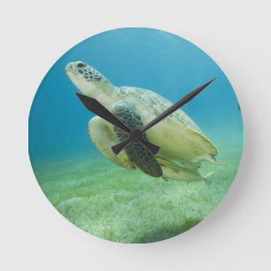 Turtle Round Clock