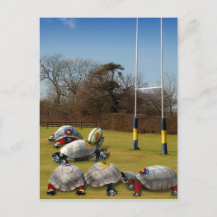 Turtle Rugby Postcard