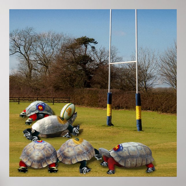 Turtle Rugby Poster (Front)