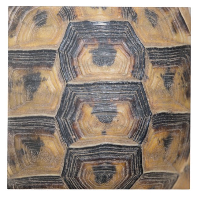 Turtle’s shell pattern tile (Front)
