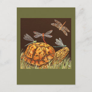 turtle school bus postcard