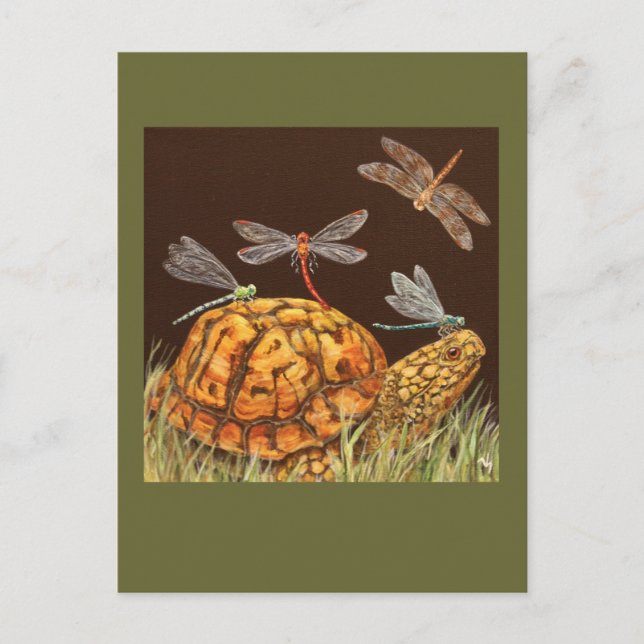 turtle school bus postcard (Front)