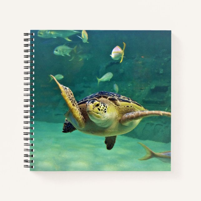 Turtle Sea Water Fish Photo Notebook (Front)