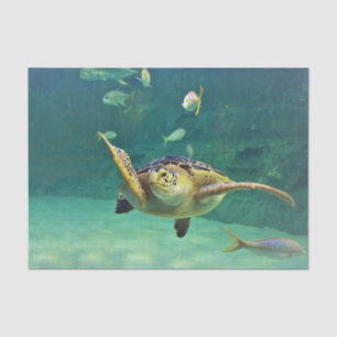 Turtle Sea Water Fish Photo Tissue Paper