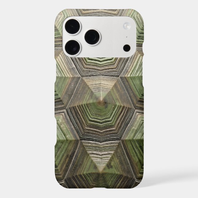 Turtle Shell 1 Phone Case (Back)