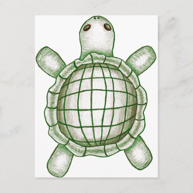 Turtle Sketch Postcard (Front)