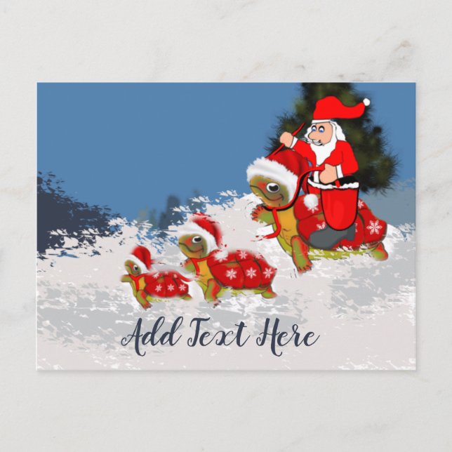 Turtle Sleigh Postcard (Front)