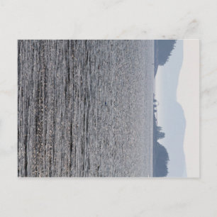 Turtle, Spectacle and Mount Desert Islands, Maine Postcard