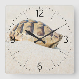 Turtle Square Wall Clock