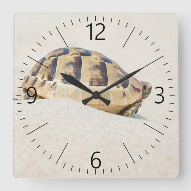 Turtle Square Wall Clock (Front)