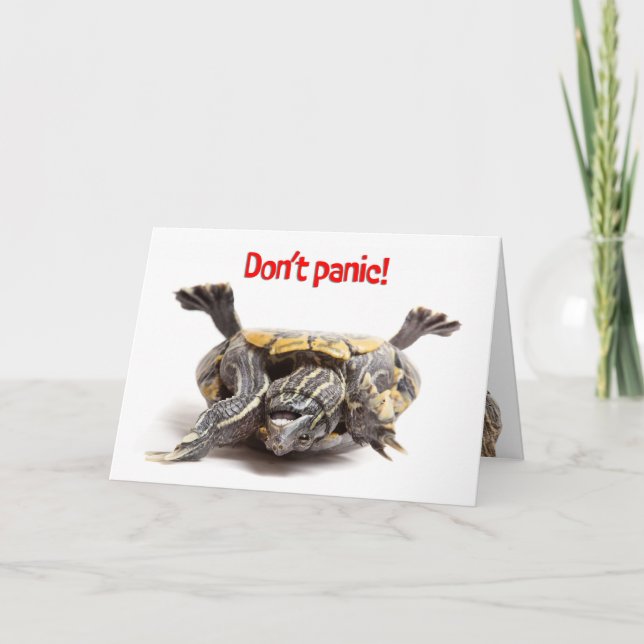 Turtle Stuck on Back Here For You Encouragement Holiday Card (Front)