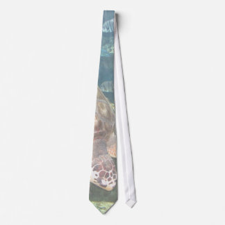 Turtle swimming amongst fish. tie