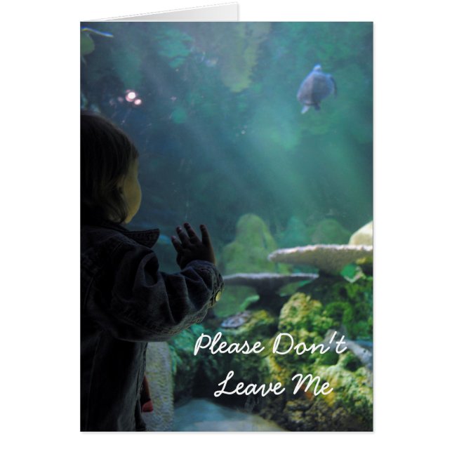 Turtle Tank Viewer (Front)