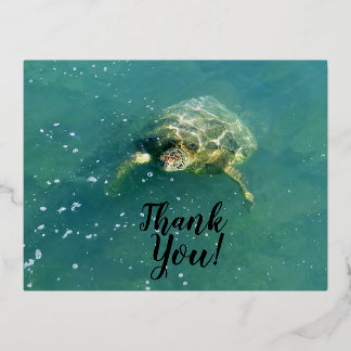 Turtle Thank you postcard