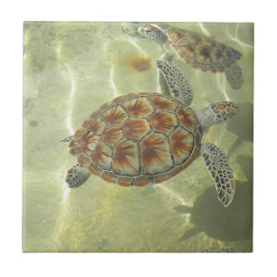 Turtle Tile