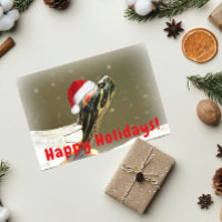 Turtle Wearing Red Santa Cap Funny
