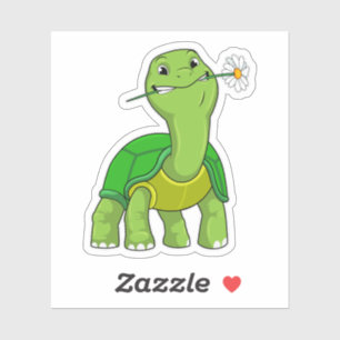 Turtle with Flower Daisy