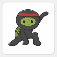 Turtle with Shell as Ninja