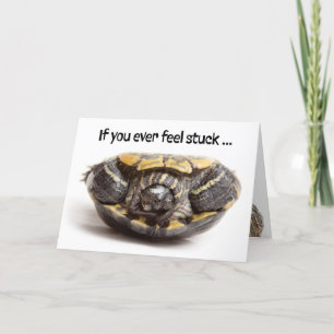 Turtle With Teeth Stuck on Back Encouragement Holiday Card