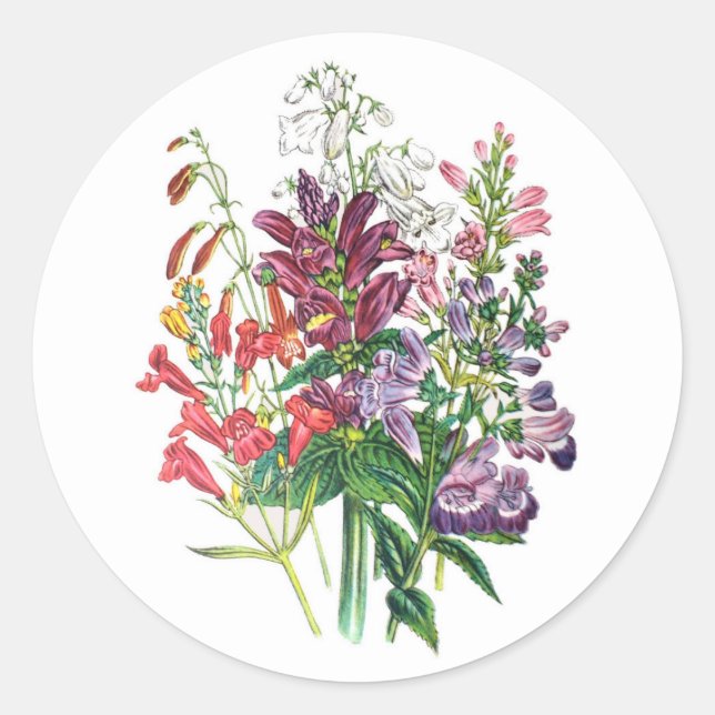 Turtleheads and Beardtongues Classic Round Sticker (Front)