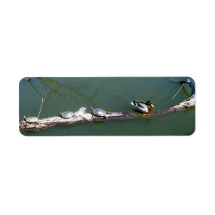 Turtles and Duck Return Address Label