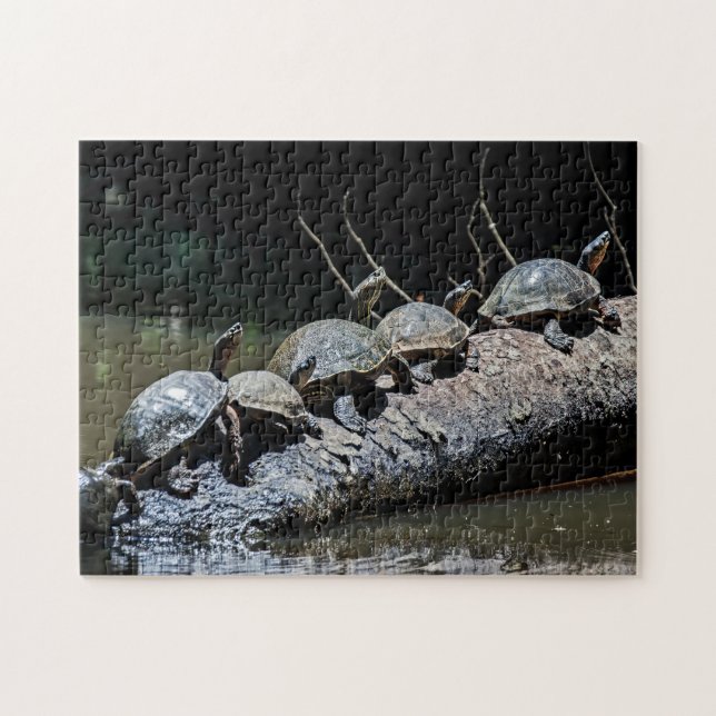 Turtles at Tortuguero National Park - Costa Rica Jigsaw Puzzle (Horizontal)