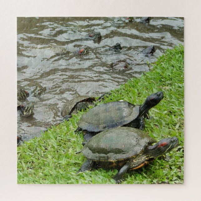 Turtles by the Water Jigsaw Puzzle (Vertical)