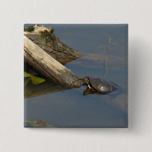 Turtle's Day Off 15 Cm Square Badge