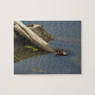 Turtle's Day Off Jigsaw Puzzle