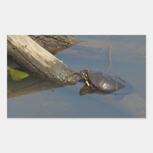 Turtle's Day Off Rectangular Sticker