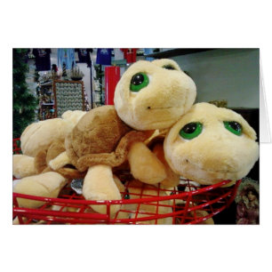 TURTLES HAVE EXCEPTIONAL NIGHT VISION (MISTLETOE)