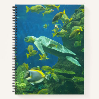 Turtles Notebook