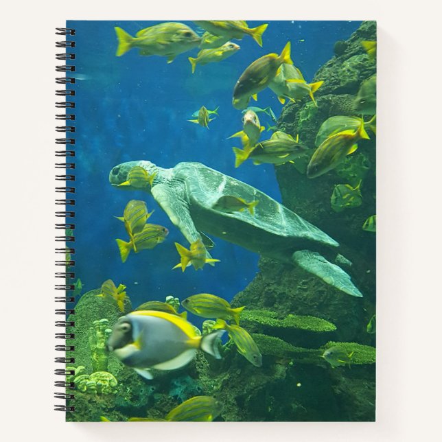 Turtles Notebook (Front)