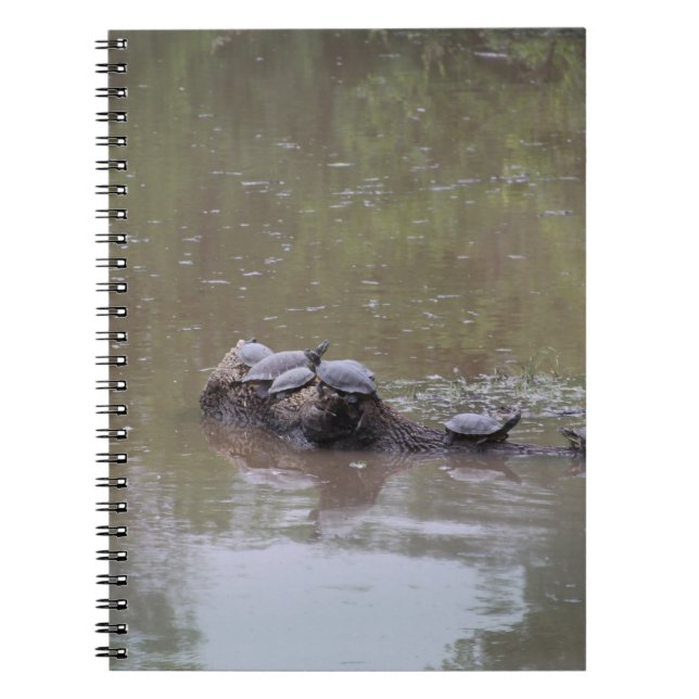 Turtles Notebook (Front)